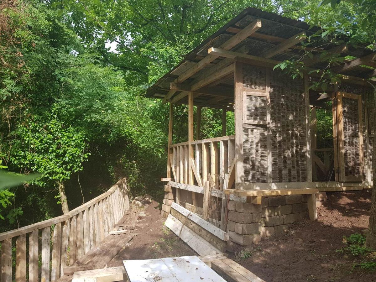 Hotel Shaumiani Kutaisi Dış mekan fotoğraf